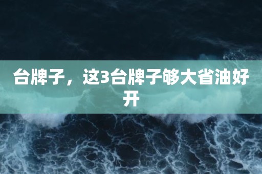 台牌子，这3台牌子够大省油好开