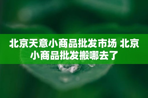 北京天意小商品批发市场 北京小商品批发搬哪去了