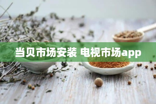 当贝市场安装 电视市场app