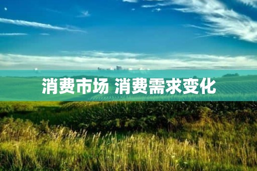 消费市场 消费需求变化