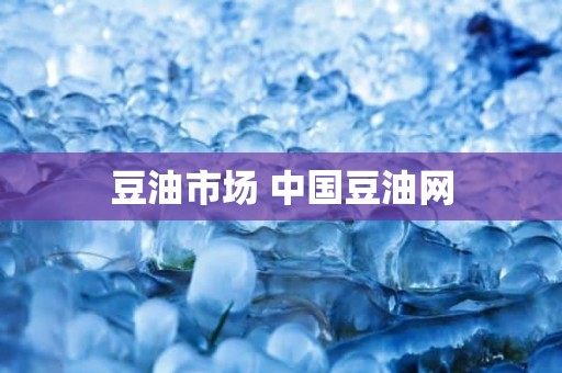 豆油市场 中国豆油网