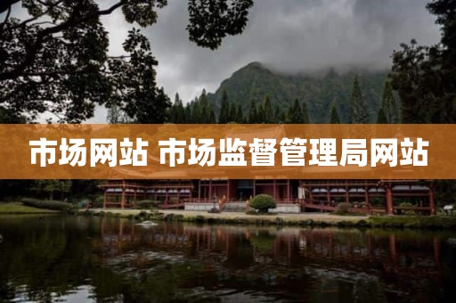 市场网站 市场监督管理局网站