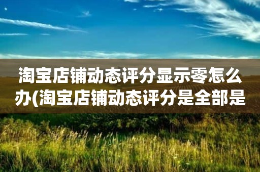 淘宝店铺动态评分显示零怎么办(淘宝店铺动态评分是全部是零分这代表什么意思)