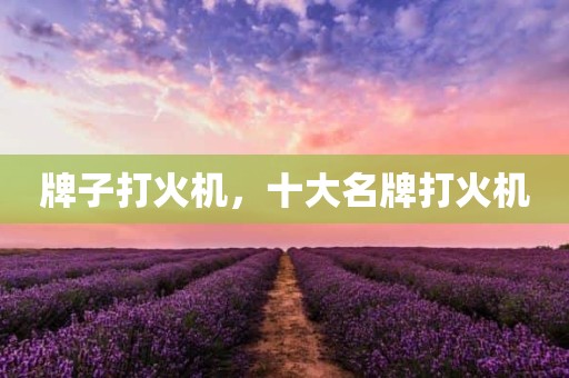 牌子打火机，十大名牌打火机