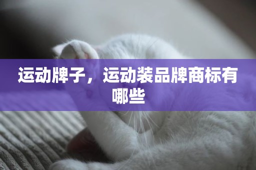 运动牌子，运动装品牌商标有哪些