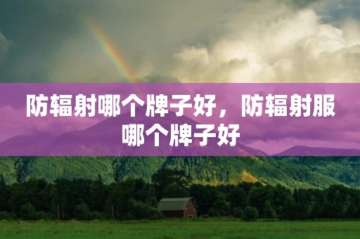 防辐射哪个牌子好，防辐射服哪个牌子好