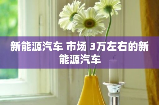新能源汽车 市场 3万左右的新能源汽车