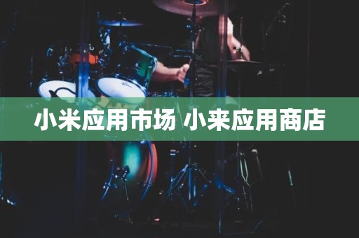 小米应用市场 小来应用商店
