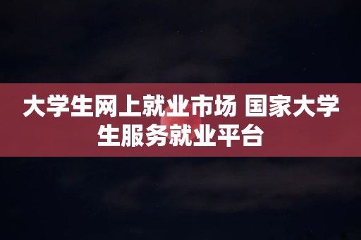 大学生网上就业市场 国家大学生服务就业平台