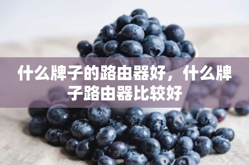 什么牌子的路由器好，什么牌子路由器比较好