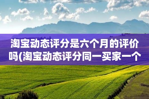 淘宝动态评分是六个月的评价吗(淘宝动态评分同一买家一个月可以评几次)