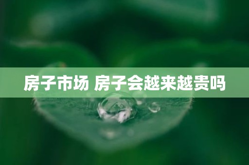 房子市场 房子会越来越贵吗
