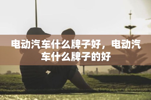 电动汽车什么牌子好，电动汽车什么牌子的好