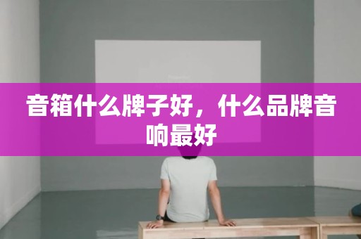 音箱什么牌子好，什么品牌音响最好