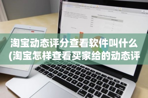 淘宝动态评分查看软件叫什么(淘宝怎样查看买家给的动态评分)