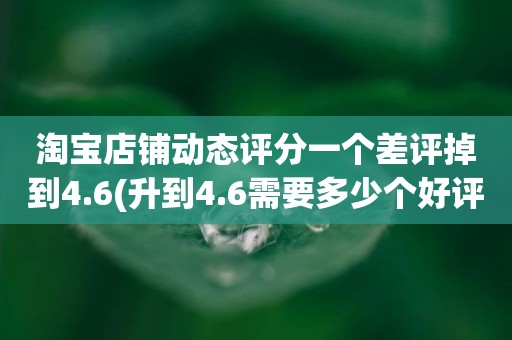 淘宝店铺动态评分一个差评掉到4.6(升到4.6需要多少个好评)