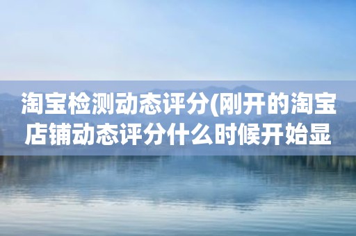 淘宝检测动态评分(刚开的淘宝店铺动态评分什么时候开始显示)