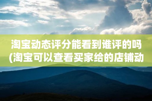 淘宝动态评分能看到谁评的吗(淘宝可以查看买家给的店铺动态评分吗)