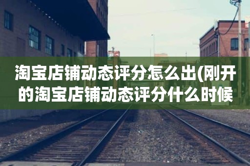 淘宝店铺动态评分怎么出(刚开的淘宝店铺动态评分什么时候开始显示)